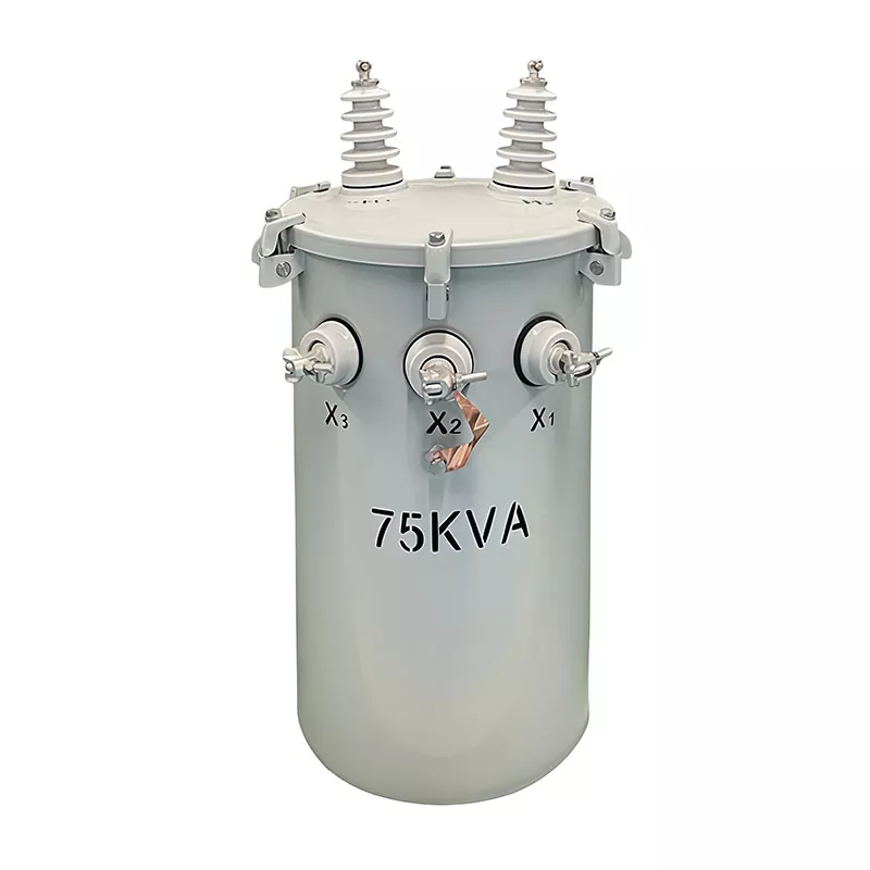 75KVA paalgemonteerde transformator
